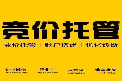 SEM主管如何运用AI技术提升广告效果——案例研究